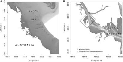 Working With Nature Approaches for the Creation of Soft Intertidal Habitats